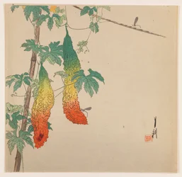 Kürbisse und Wespe, ca. 1890-1910